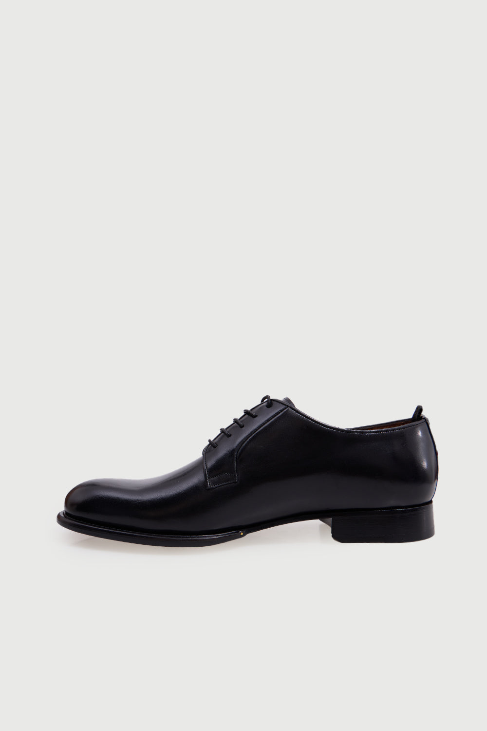TEDDY